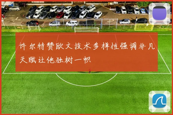 许尔特赞欧文技术多样性强调非凡天赋让他独树一帜