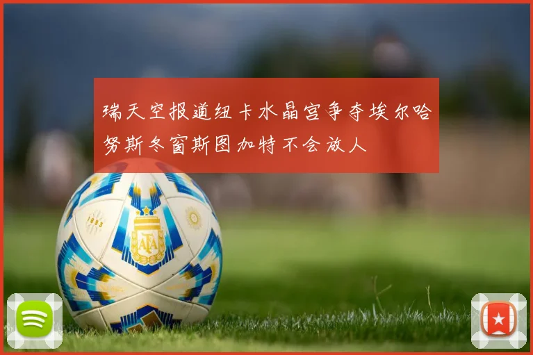 瑞天空报道纽卡水晶宫争夺埃尔哈努斯冬窗斯图加特不会放人