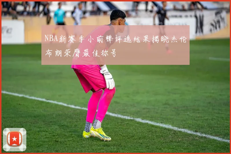 NBA新赛季小前锋评选结果揭晓杰伦布朗荣膺最佳称号