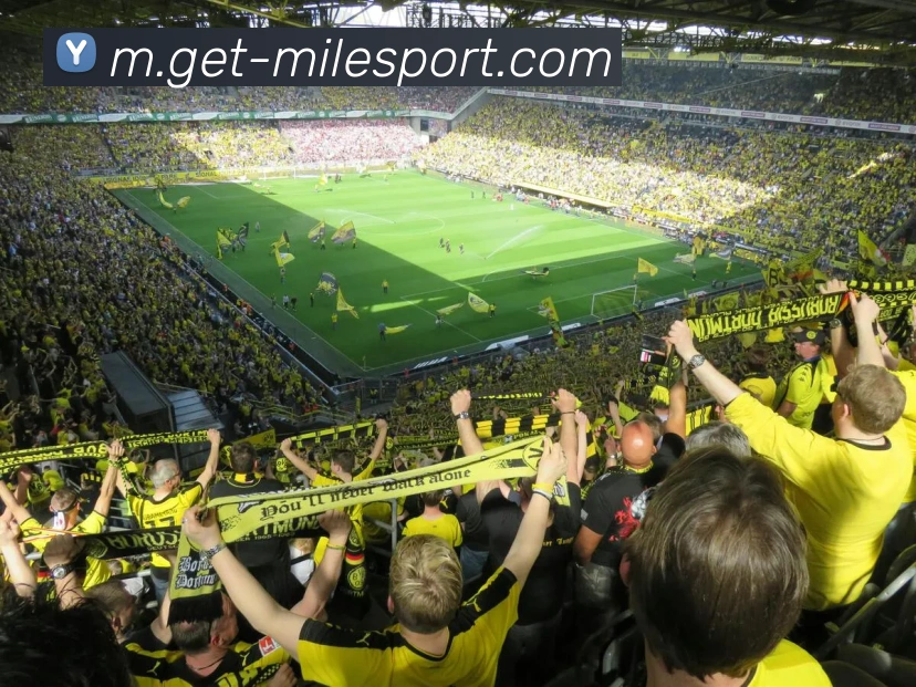 米乐体育APP 高清赛事图